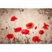 Papier peint panoramique - Fleurs - 390 cm x 267 cm
