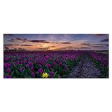 Homemania Afbeelding bloemen natuur en landschappen voor woonkamer, slaapkamer, meerkleurig, 70 x 3 x 100 cm, HM20KNV70 x 100 – 119, polyester, hout