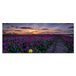 Homemania Afbeelding bloemen natuur en landschappen voor woonkamer, slaapkamer, meerkleurig, 70 x 3 x 100 cm, HM20KNV70 x 100 – 119, polyester, hout