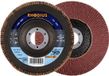 Rhodius 202860 LSA F1 Disque lamelle Acier 10 pièce(s)