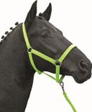HKM Halster -Stars Economy Softice-