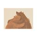 Carte, ours en peluche