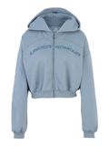 UNDER ARMOUR Sportief sweatvest 'Icon Wordmark' opaal / duifblauw