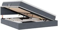 vidaXL Opbergbed met hoofdeinde, donkergrijs, 180 x 200 cm, fluweel