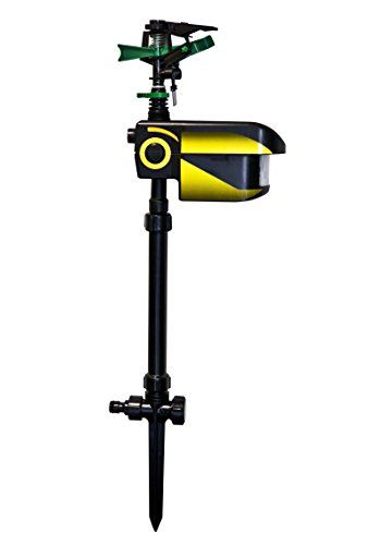 Windhager Animal repeller WATER GUARD SOLAR - Zwart