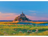 Puzzle 1000 pièces Mont Saint Michel pour Adultes