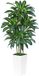 CINK & Co Plante artificielle Dracaena 180 cm - Arbre artificiel avec 108 feuilles - Pot blanc