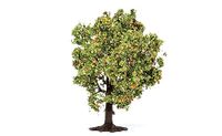 Hornby R7213 Appelboom (met fruit) Landschappelijke materialen, multi