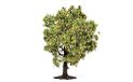 Hornby R7213 Appelboom (met fruit) Landschappelijke materialen, multi