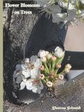 Flower Blossoms on Trees: Coffee Table Book