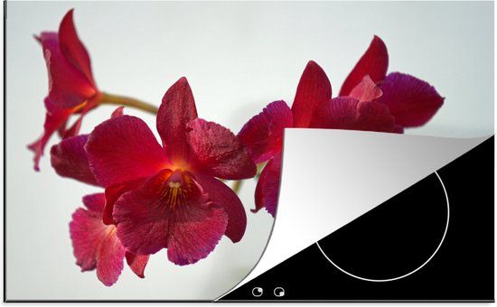 KitchenYeah® Inductie beschermer 77x51 cm - Rode orchideeën - Inductiebeschermer