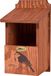 dobar® Green Label 22366FSCe nestkastje Roodborstje - Halfgrotdoos van hout - nesthulp voor halfholtebroeders - nestplaats halve holte met zeefdruk motief Roodborstje - bruin