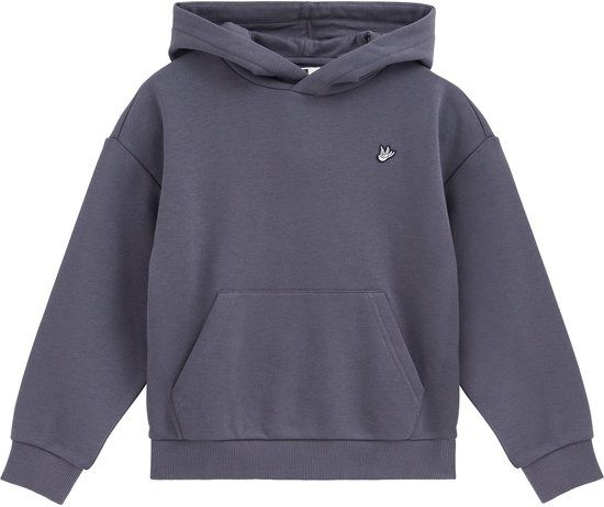 WE Fashion Jongens hoodie met embroidery