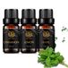 Aphrosmile set d'huiles essentielles d'aromathérapie - 3 x 10 ml - Cannelle, Citron, Basilic - Pour bougies, massage, diffuseur