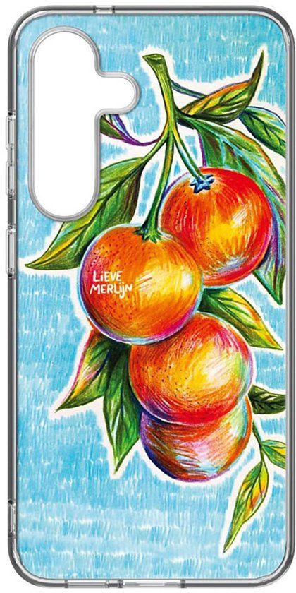 Samsung Lieve Merlijn Mandarin Hybrid Case - Samsung Galaxy S25 Hoesje - Blauw