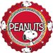 Dekora Snoopy Peanuts cupcake vormpjes 50 st.
