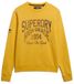Superdry Coastal Relaxed Sweatshirt Geel XL Man