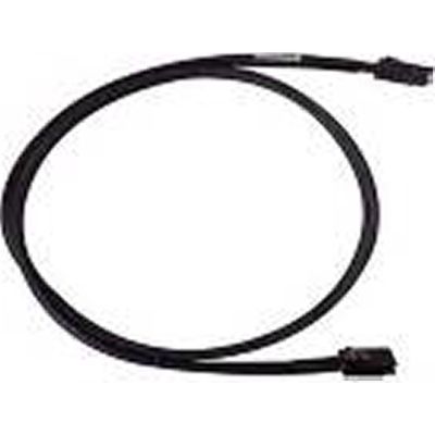 Intel AXXCBL600MSMS - 6m Cable