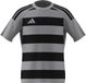 adidas Unisex niños HOOPED26 JERSEY KIDS, team light grey/black, 11-12 Years