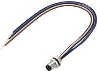 TRU COMPONENTS TC-13751976 Aansluitkabel M8 x 1 Aantal polen (sensoren): 5 Stekker, recht 0.2 m 1 stuk(s)