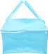Non-branded Sac isotherme - panier de pique-nique réfrigéré pour tartes, salades, viandes - sac à lunch pour boissons - fête de plage et grillades