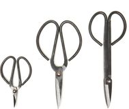 Kikkerland Set of 3 Pruning Shears