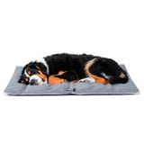 FERPLAST Hondenmat - Hondenbed Extra Groot Wasbaar - Hondenmatras - Waterdicht en krasbestendig - Mat voor auto's, hondenhokken en hondenmanden - Zacht hondenbed - Jolly, 108 x 79 CM, GRIJS