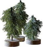 LOBERON Boompje set van 3 Lonzac groen
