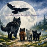 Wolf & Moon: Lessons In Kindness: Empathy & Compassion