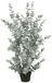 Mica Decorations Plante artificielle Eucalyptus