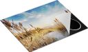 Chefcare Inductie Beschermer Strand en Zee 65x55 cm