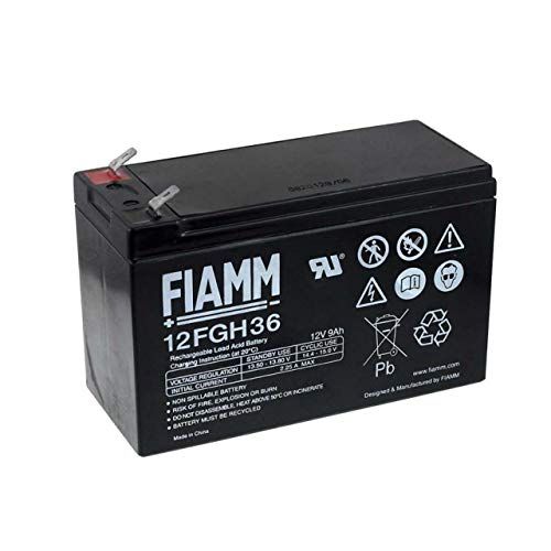 Fiamm 12FGH36 - Batteria ricaricabile al piombo (resistente a corrente alta) - 4051363401870