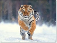 Affiche extérieur Tigre - Paysage - Neige - Hiver - 160x120 cm - Toile de jardin - Décoration murale