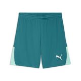 PUMA heren Gebreide Shorts Teamliga26 Shorts