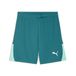 PUMA heren Gebreide Shorts Teamliga26 Shorts