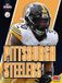 Pittsburgh NFL Teams- Pittsburgh Steelers Hardcover