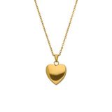 Lucardi Dames Stainless steel goldplated ketting met ashanger hart voor dames - Ketting - Staal - Goudkleurig - 50 cm