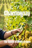 Chardonnay: The Queen of White Grapes