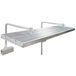 Ica Canvas Plant Light Pro RGB, 60 cm, 3030 g