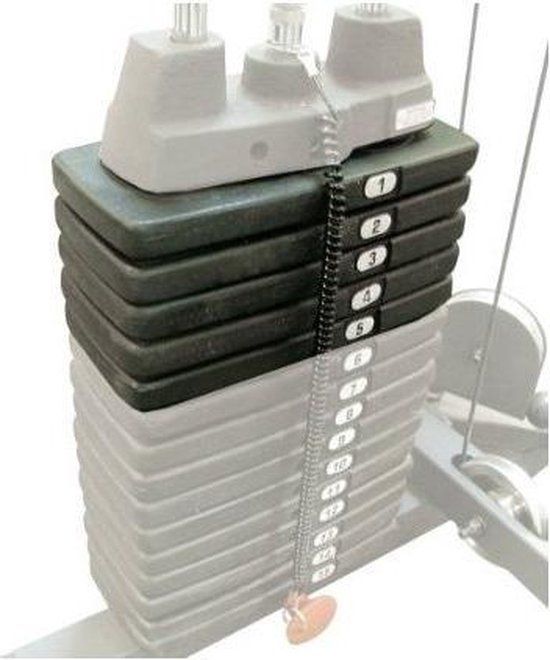 Body-Solid 22,5KG Extra gewicht voor krachtstations - Zwart - Gietijzer