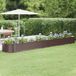 Maison Exclusive - Jardinière surélevée, acier galvanisé, 440x80x36 cm, marron