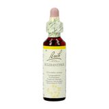 Bachflowers Bach Flower Remedie 28 Scleranthus 20ml