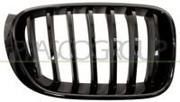 PRASCO DD2F68 BM8072003 frontgrillspoiler
