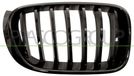 PRASCO DD2F68 BM8072003 frontgrillspoiler