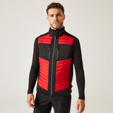 Regatta Jas Hiking Volwassenen E-volve Rood XXXL Polyester