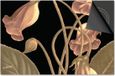 Dietrix Inductie Beschermer 59x52 - Botanical - Kelken roze op zwart