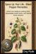 Spice Up Your Life Black Pepper Remedies