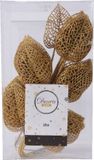 Decoris Kaemingk B.V. Spray plc l2b16h36 cm goud 10st kerst