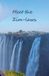 Meet Solitaire Meet the Zim-laws Paperback