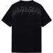 NAPAPIJRI Shirt 'S-YOURTE' aardetinten / zwart